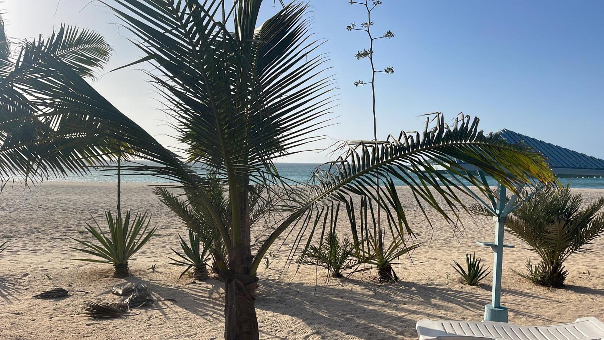 סאל ריי Luxury Beach Villa, Praia De Chaves, Boa Vista מראה חיצוני תמונה